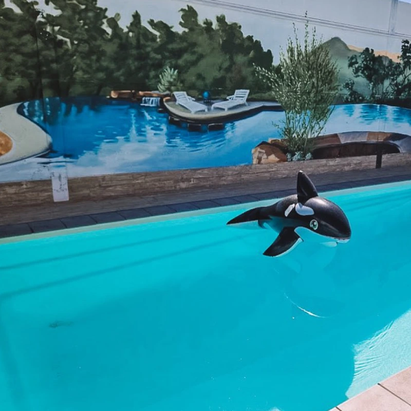 Piscina Casas Rurales Alamancha